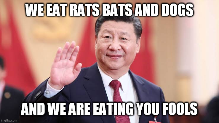 Xi Jinping | WE EAT RATS BATS AND DOGS; AND WE ARE EATING YOU FOOLS | image tagged in xi jinping | made w/ Imgflip meme maker