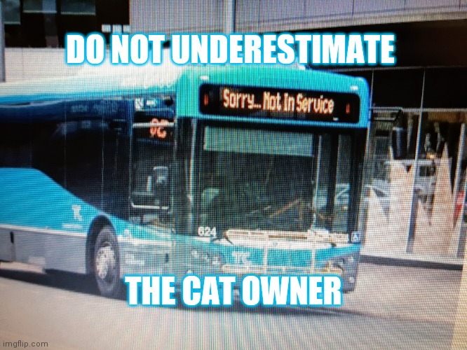 DO NOT UNDERESTIMATE; THE CAT OWNER | made w/ Imgflip meme maker