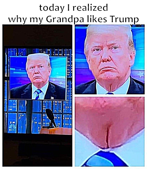 today I realized why my Grandpa likes Trump | image tagged in turnip | made w/ Imgflip meme maker