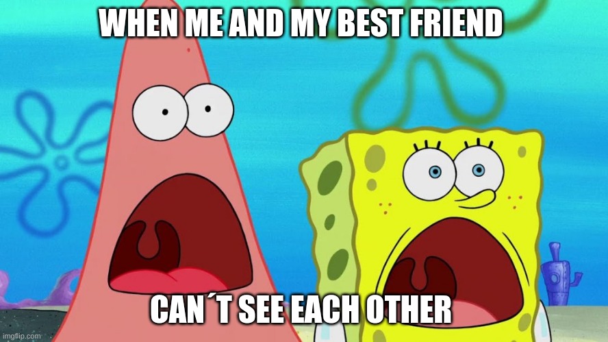 Quarantine | WHEN ME AND MY BEST FRIEND; CAN´T SEE EACH OTHER | image tagged in quarantine | made w/ Imgflip meme maker