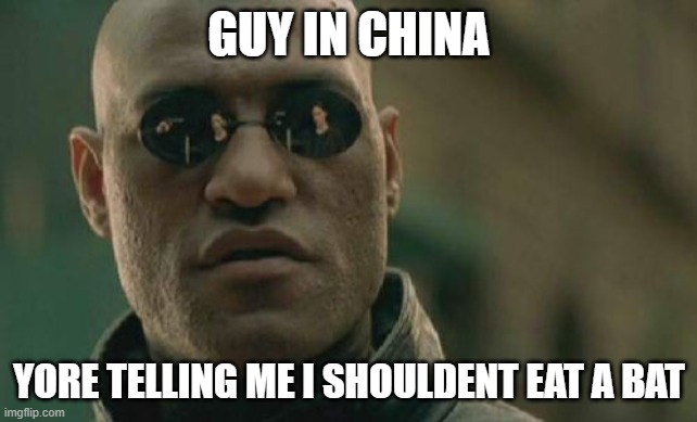 Matrix Morpheus | GUY IN CHINA; YORE TELLING ME I SHOULDENT EAT A BAT | image tagged in memes,matrix morpheus | made w/ Imgflip meme maker