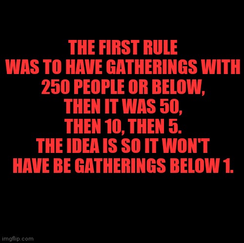 Don't be a Covidiot | THE FIRST RULE WAS TO HAVE GATHERINGS WITH
250 PEOPLE OR BELOW,
THEN IT WAS 50,
THEN 10, THEN 5.
THE IDEA IS SO IT WON'T
HAVE BE GATHERINGS BELOW 1. | image tagged in blank | made w/ Imgflip meme maker