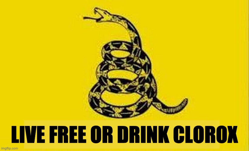 Colonial Flag | LIVE FREE OR DRINK CLOROX | image tagged in colonial flag | made w/ Imgflip meme maker