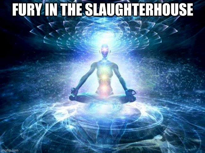 enlightened mind | FURY IN THE SLAUGHTERHOUSE | image tagged in enlightened mind | made w/ Imgflip meme maker
