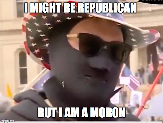 I might be republican but | I MIGHT BE REPUBLICAN; BUT I AM A MORON | image tagged in memes | made w/ Imgflip meme maker