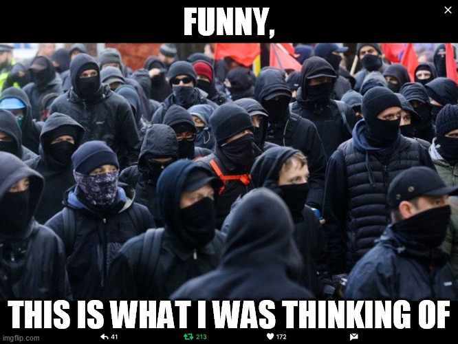 Antifa | FUNNY, THIS IS WHAT I WAS THINKING OF | image tagged in antifa | made w/ Imgflip meme maker