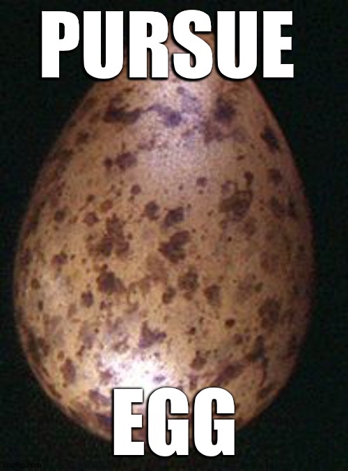 Egg | PURSUE; EGG | image tagged in egg | made w/ Imgflip meme maker