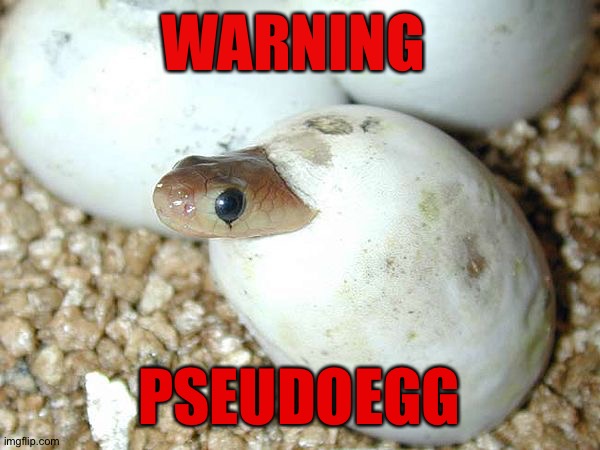 Pseudoegg | WARNING; PSEUDOEGG | image tagged in egg | made w/ Imgflip meme maker