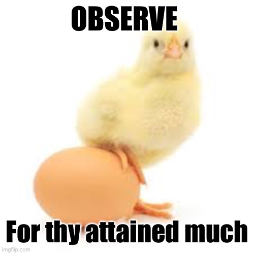 Eggplant | OBSERVE; For thy attained much | image tagged in egg | made w/ Imgflip meme maker