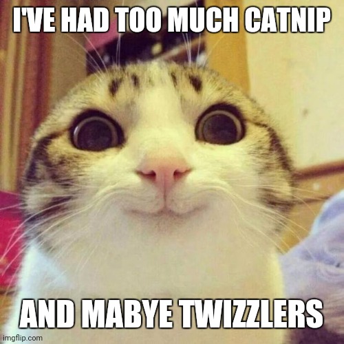 Smiling Cat | I'VE HAD TOO MUCH CATNIP; AND MABYE TWIZZLERS | image tagged in memes,smiling cat | made w/ Imgflip meme maker