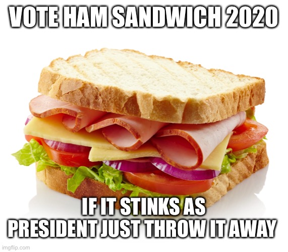 Ham Sandwich for President 2020 | VOTE HAM SANDWICH 2020; IF IT STINKS AS PRESIDENT JUST THROW IT AWAY | image tagged in politics,political meme,joe biden,donald trump,funny | made w/ Imgflip meme maker