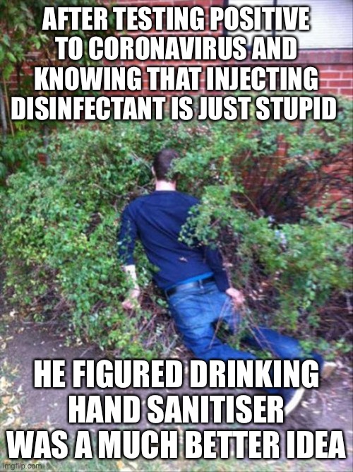Deep thinker | AFTER TESTING POSITIVE TO CORONAVIRUS AND KNOWING THAT INJECTING DISINFECTANT IS JUST STUPID; HE FIGURED DRINKING HAND SANITISER WAS A MUCH BETTER IDEA | image tagged in drunk and passed out,trump,donald trump,coronavirus,disinfectant,hand sanitizer | made w/ Imgflip meme maker