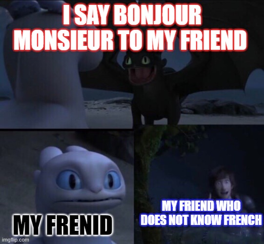 How to train your dragon 3 | I SAY BONJOUR MONSIEUR TO MY FRIEND; MY FRIEND WHO DOES NOT KNOW FRENCH; MY FRENID | image tagged in how to train your dragon 3 | made w/ Imgflip meme maker