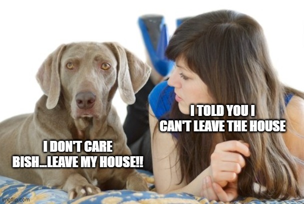 Quarantine DOG | I TOLD YOU I CAN'T LEAVE THE HOUSE; I DON'T CARE BISH...LEAVE MY HOUSE!! | image tagged in quarantine,dog,woman,argument,house | made w/ Imgflip meme maker