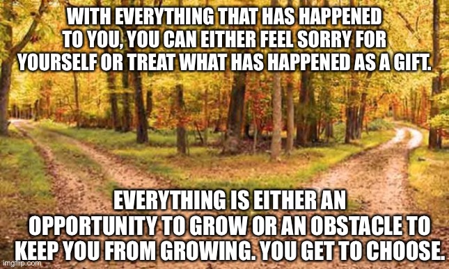 You choose | WITH EVERYTHING THAT HAS HAPPENED TO YOU, YOU CAN EITHER FEEL SORRY FOR YOURSELF OR TREAT WHAT HAS HAPPENED AS A GIFT. EVERYTHING IS EITHER AN OPPORTUNITY TO GROW OR AN OBSTACLE TO KEEP YOU FROM GROWING. YOU GET TO CHOOSE. | image tagged in you choose | made w/ Imgflip meme maker