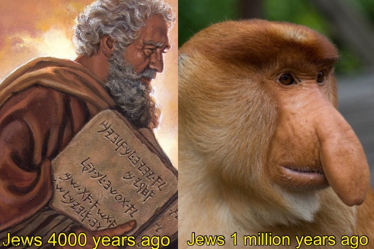 image tagged in goyim | made w/ Imgflip meme maker