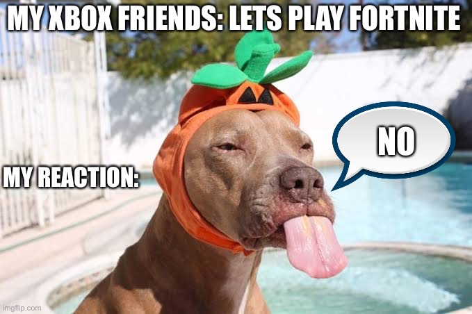 Tongue out Doggo | MY XBOX FRIENDS: LETS PLAY FORTNITE; NO; MY REACTION: | image tagged in tongue out doggo | made w/ Imgflip meme maker