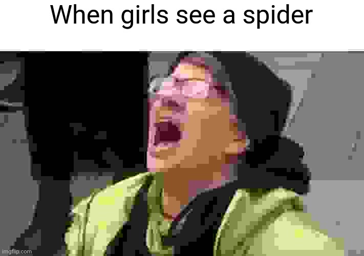 "When girls see spider" | When girls see a spider | image tagged in screaming liberal,memes,girls,spider | made w/ Imgflip meme maker