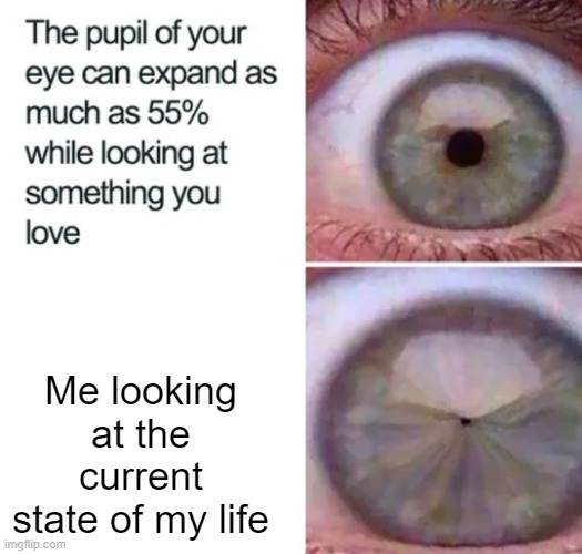 Well, it's a Dark Humor Stream. | Me looking at the current state of my life | image tagged in eye pupil expansion,eye,life,dark humor,deep,pupil | made w/ Imgflip meme maker