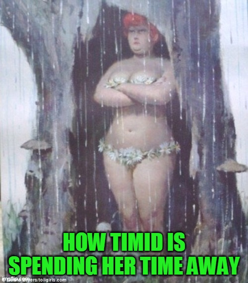 hehhehe | HOW TIMID IS SPENDING HER TIME AWAY | image tagged in just a joke,timiddeer | made w/ Imgflip meme maker