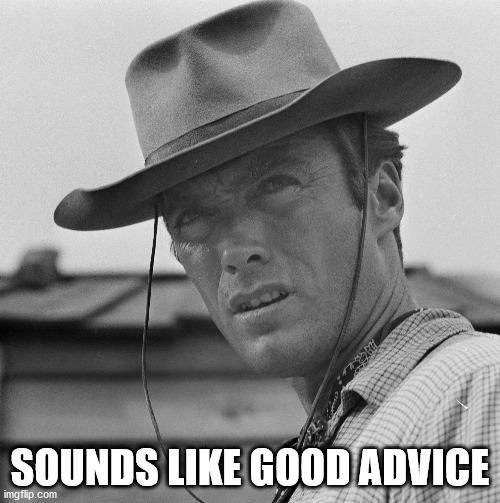Rawhide Rowdy Yates | SOUNDS LIKE GOOD ADVICE | image tagged in clint eastwood,rawhide tv,good advice | made w/ Imgflip meme maker