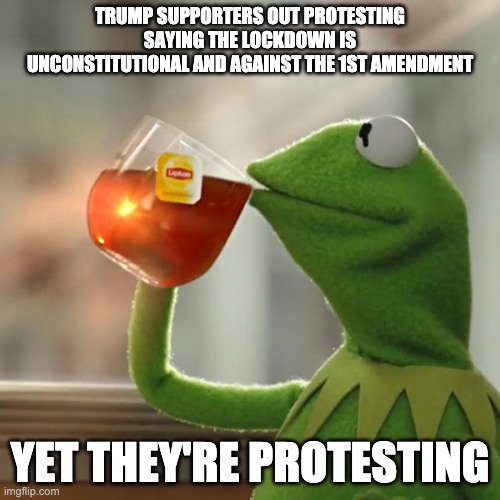 But That's None Of My Business | TRUMP SUPPORTERS OUT PROTESTING SAYING THE LOCKDOWN IS UNCONSTITUTIONAL AND AGAINST THE 1ST AMENDMENT; YET THEY'RE PROTESTING | image tagged in memes,but that's none of my business,kermit the frog | made w/ Imgflip meme maker