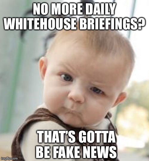 Fake news | NO MORE DAILY WHITEHOUSE BRIEFINGS? THAT’S GOTTA BE FAKE NEWS | image tagged in incredulous baby,trump,donald trump | made w/ Imgflip meme maker