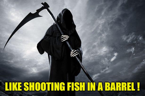 Death | LIKE SHOOTING FISH IN A BARREL ! | image tagged in death | made w/ Imgflip meme maker