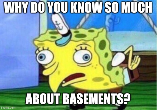 Mocking Spongebob Meme | WHY DO YOU KNOW SO MUCH ABOUT BASEMENTS? | image tagged in memes,mocking spongebob | made w/ Imgflip meme maker