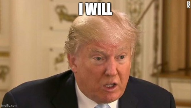 Trump Stupid Face | I WILL | image tagged in trump stupid face | made w/ Imgflip meme maker