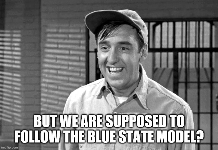 BUT WE ARE SUPPOSED TO FOLLOW THE BLUE STATE MODEL? | made w/ Imgflip meme maker