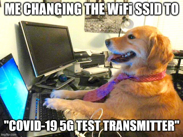 dog computer | ME CHANGING THE WiFi SSID TO; "COVID-19 5G TEST TRANSMITTER" | image tagged in dog computer | made w/ Imgflip meme maker