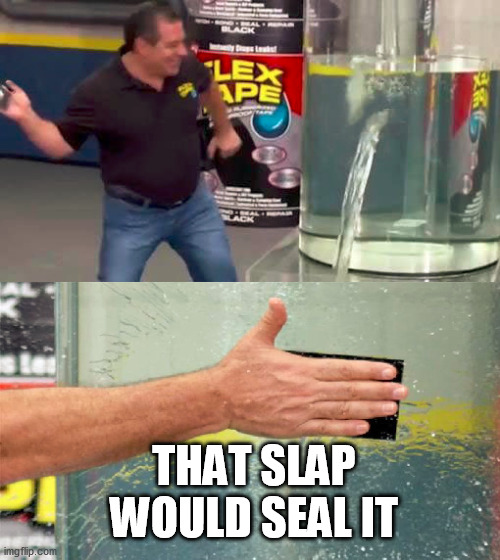 Flex Tape | THAT SLAP WOULD SEAL IT | image tagged in flex tape | made w/ Imgflip meme maker