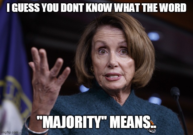 Good old Nancy Pelosi | I GUESS YOU DONT KNOW WHAT THE WORD "MAJORITY" MEANS.. | image tagged in good old nancy pelosi | made w/ Imgflip meme maker