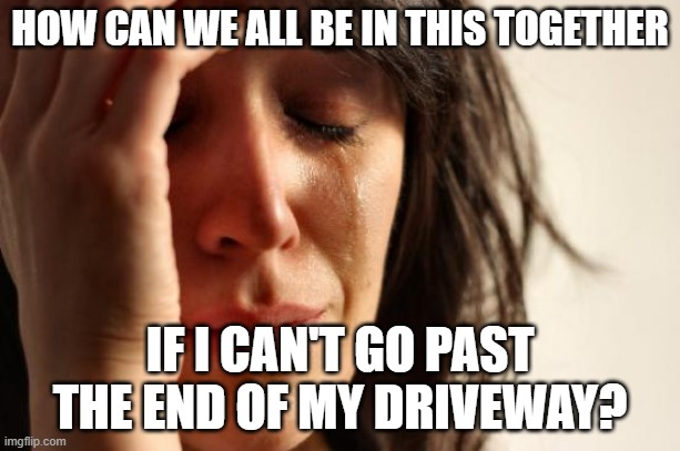 First World Problems | HOW CAN WE ALL BE IN THIS TOGETHER; IF I CAN'T GO PAST THE END OF MY DRIVEWAY? | image tagged in memes,first world problems | made w/ Imgflip meme maker