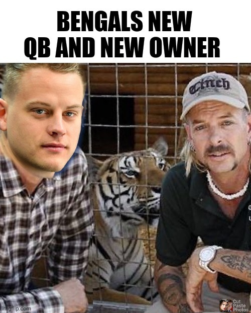 Bengals | image tagged in nfl memes | made w/ Imgflip meme maker