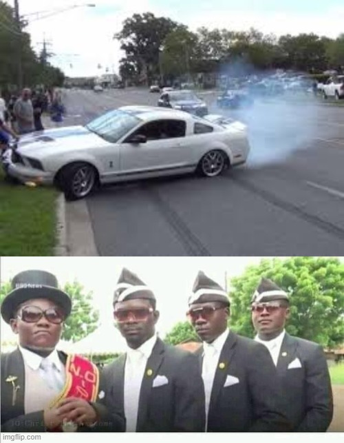 never buy a mustang | image tagged in coffin dance | made w/ Imgflip meme maker