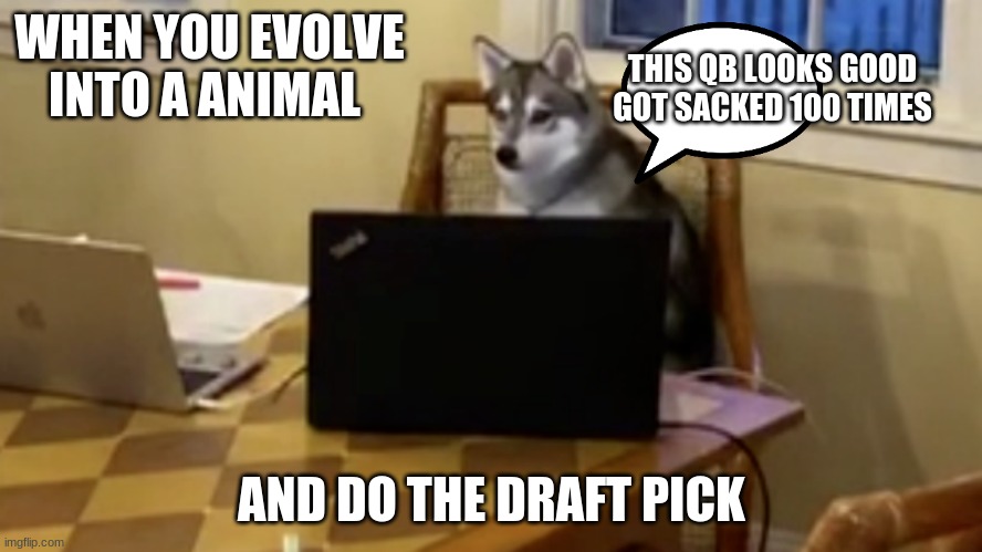 Draft pick dog | WHEN YOU EVOLVE INTO A ANIMAL; THIS QB LOOKS GOOD GOT SACKED 100 TIMES; AND DO THE DRAFT PICK | image tagged in funny,cool,funny memes | made w/ Imgflip meme maker