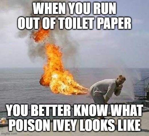 Darti Boy | WHEN YOU RUN OUT OF TOILET PAPER; YOU BETTER KNOW WHAT POISON IVEY LOOKS LIKE | image tagged in memes,darti boy | made w/ Imgflip meme maker