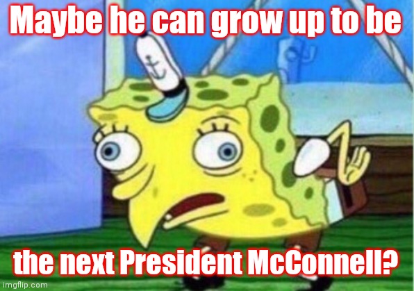 Mocking Spongebob Meme | Maybe he can grow up to be the next President McConnell? | image tagged in memes,mocking spongebob | made w/ Imgflip meme maker