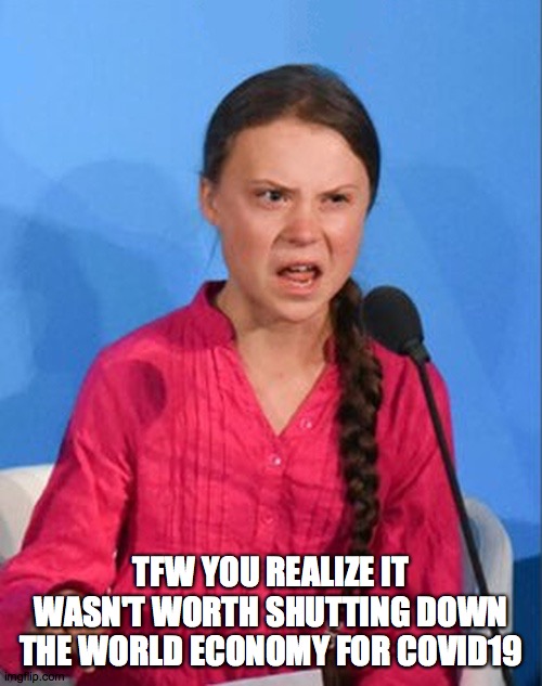 Greta Thunberg how dare you | TFW YOU REALIZE IT WASN'T WORTH SHUTTING DOWN THE WORLD ECONOMY FOR COVID19 | image tagged in greta thunberg how dare you | made w/ Imgflip meme maker