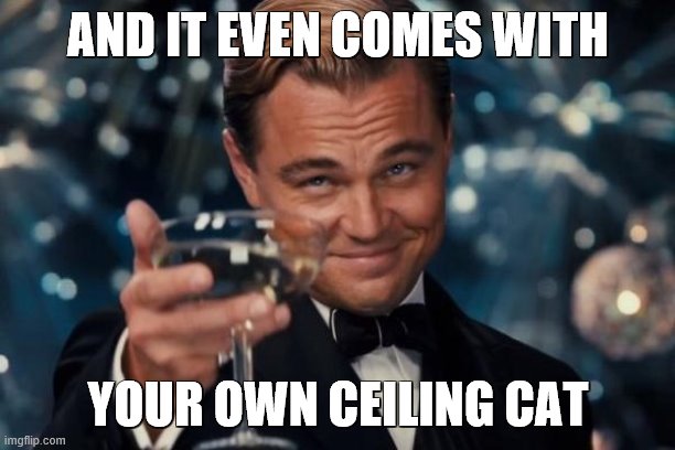 Leonardo Dicaprio Cheers Meme | AND IT EVEN COMES WITH YOUR OWN CEILING CAT | image tagged in memes,leonardo dicaprio cheers | made w/ Imgflip meme maker
