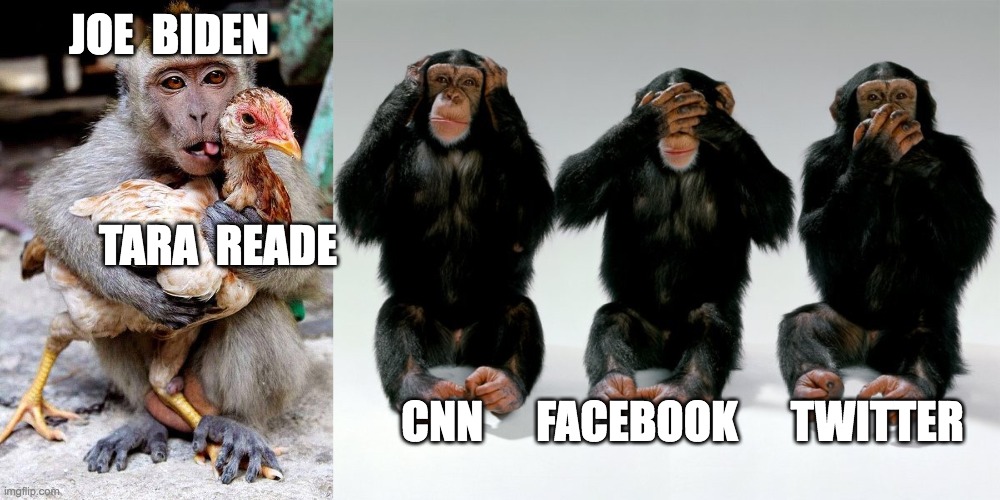 JOE  BIDEN; TARA  READE; CNN      FACEBOOK      TWITTER | image tagged in monkey chicken | made w/ Imgflip meme maker