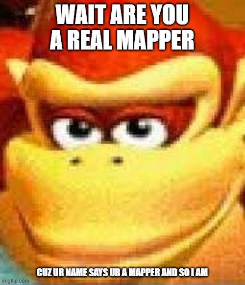 expand dong | WAIT ARE YOU A REAL MAPPER CUZ UR NAME SAYS UR A MAPPER AND SO I AM | image tagged in expand dong | made w/ Imgflip meme maker