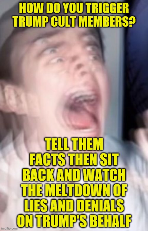 Freaking out | HOW DO YOU TRIGGER TRUMP CULT MEMBERS? TELL THEM FACTS THEN SIT BACK AND WATCH THE MELTDOWN OF LIES AND DENIALS ON TRUMP'S BEHALF | image tagged in freaking out | made w/ Imgflip meme maker