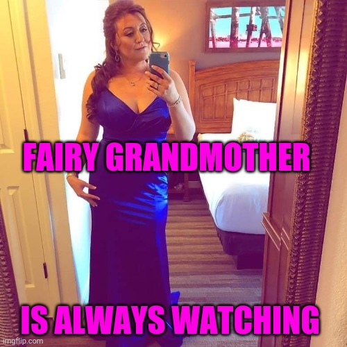 Fairy grandmother | FAIRY GRANDMOTHER; IS ALWAYS WATCHING | image tagged in fairy grandmother | made w/ Imgflip meme maker