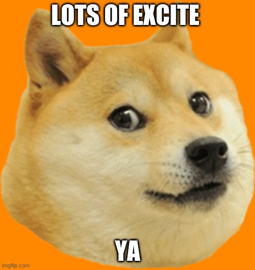 dogey | LOTS OF EXCITE; YA | image tagged in dogey | made w/ Imgflip meme maker