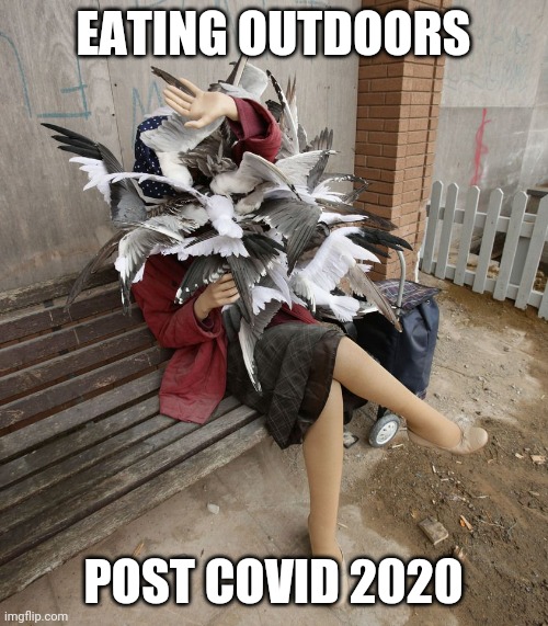 Post Covid 2020 | EATING OUTDOORS; POST COVID 2020 | image tagged in seagulls,woman,covid 19,quarantine,attack,birds | made w/ Imgflip meme maker