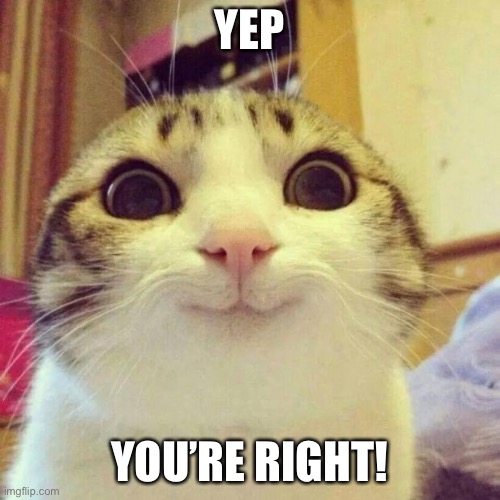 Smiling Cat Meme | YEP YOU’RE RIGHT! THE | image tagged in memes,smiling cat | made w/ Imgflip meme maker