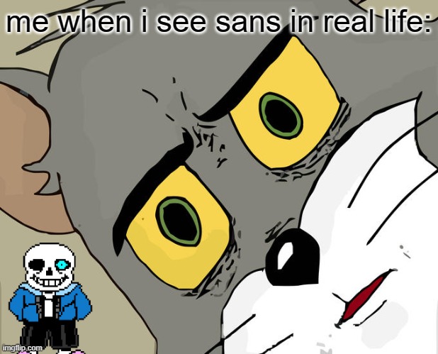 Sans | me when i see sans in real life: | image tagged in memes,unsettled tom | made w/ Imgflip meme maker